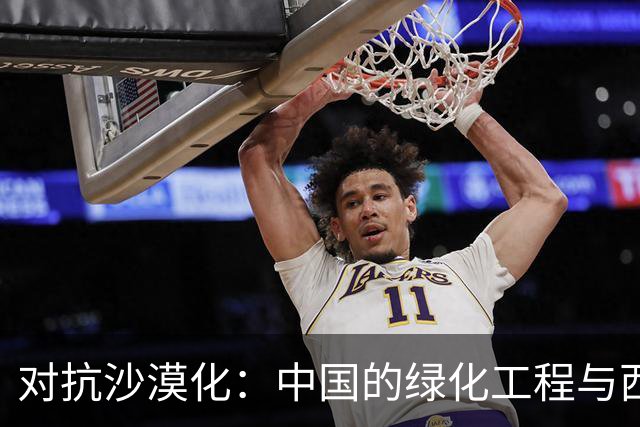 对抗沙漠化：中国的绿化工程与西方质疑